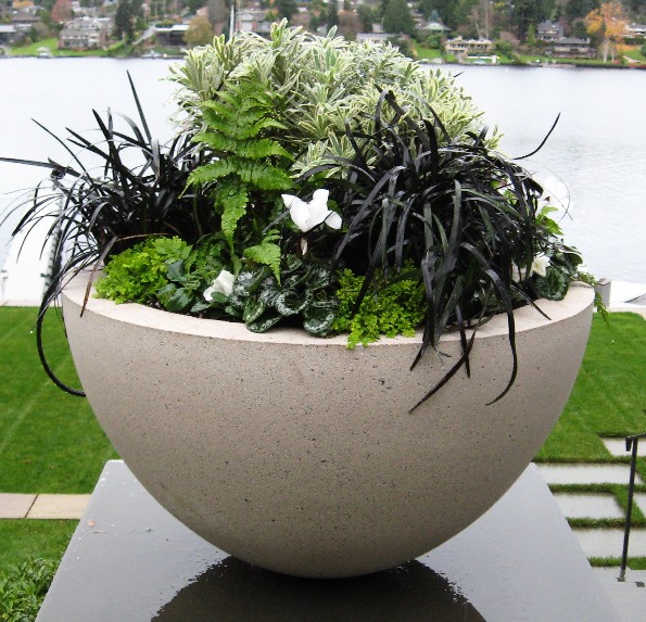 ✨Sandstone Garden Bowl ✨
bit.ly/3bbnbAf
Silky smooth finish, 5 color choices, Handmade in American, Ships to your home or business.  🚚 One large size 28" wide for $236.00
Perfect for a entryway, on each side of garage door, on a patio or in the garden.