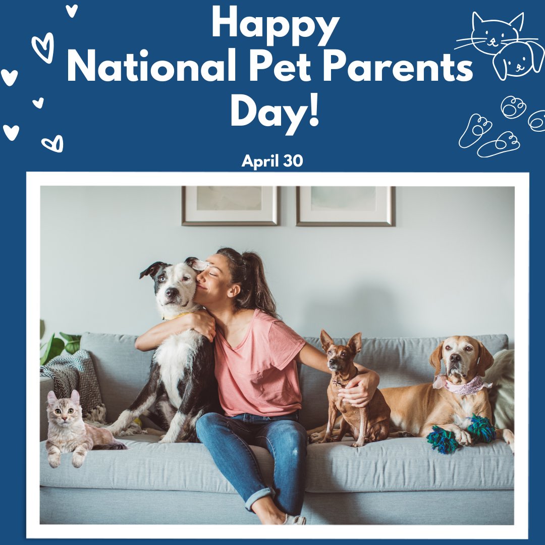 Celebrate National Pet Parents Day with Comparion Insurance Agency! Keep your furry friends protected with pet insurance. Contact us for a quote at 406-217-1442. #comparioninsuranceagency #petinsurance #nationalpetparentsday