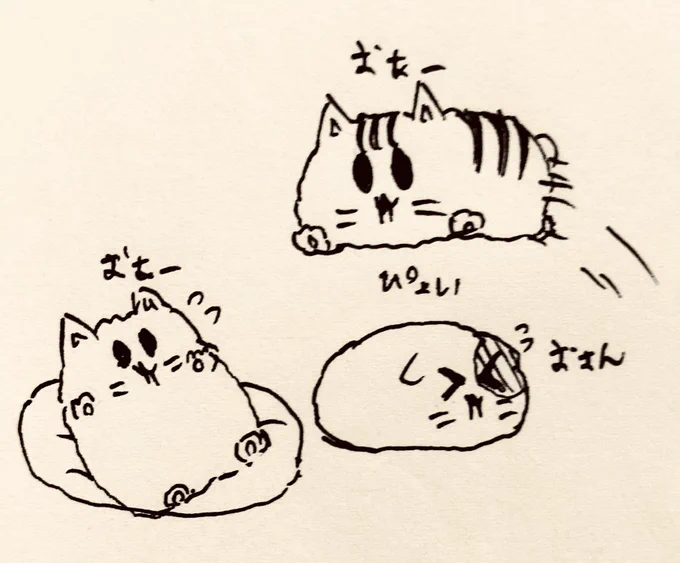🐱<オァー(おはようございます)