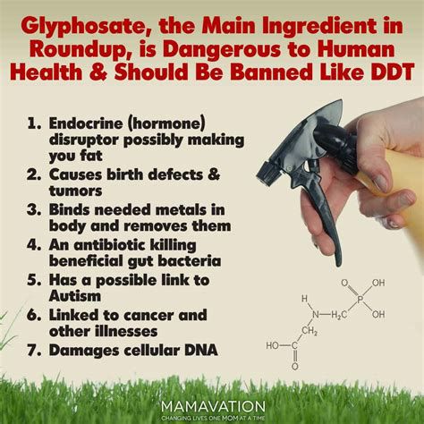 Glyphosate is destroying our life on Earth and that's not an exaggeration.
It's the number one reason for the rise epidemic of autism and alzheimer's and that's according to MIT Professor Stephanie Seneff.

The Irish government allowed this to be used here for another 10 years.