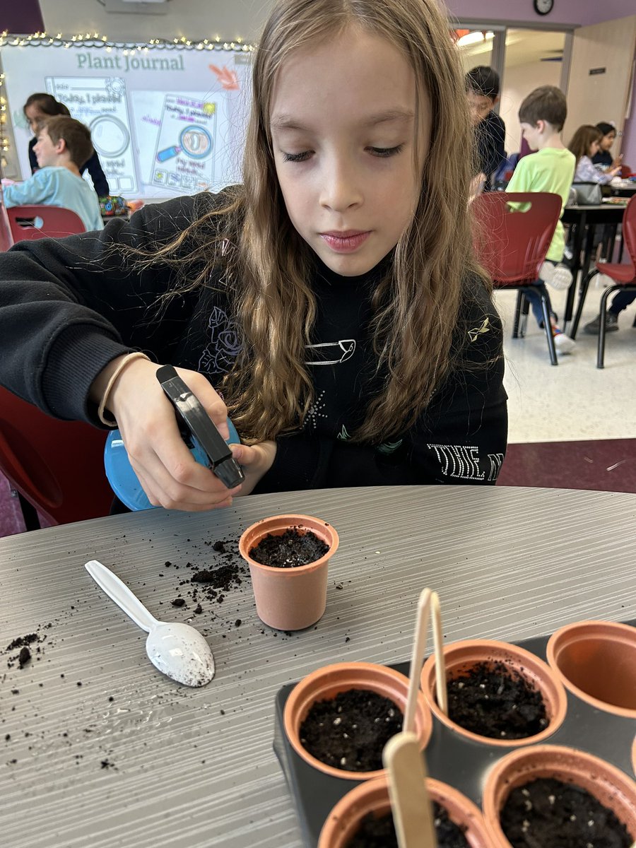 MissSibbald's tweet photo. Grade 3s planted some vegetables and flowers today. Ask me what I planted! @BernadetteOCSB https://t.co/OB6m38DvAE