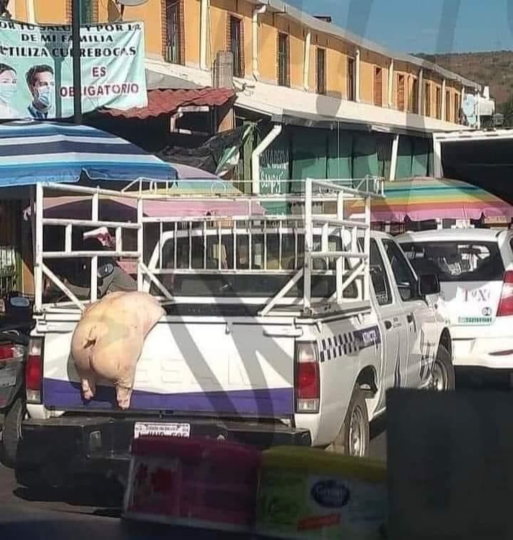 Yo tratándome de subir a la troca para acomodar la mercancía en la central de abastos