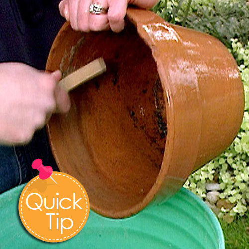 Don't be afraid to clean your planters BEFORE repotting in this year. 🪴  Make sure there are no bugs 🕷🦗 or bacteria 🧬🦠 remaining from last season.  Get a bucket with warm 💦 soapy water, a brush and a squirt of dish soap.  Give them a good scrub, lay in sun ☀️ to dry