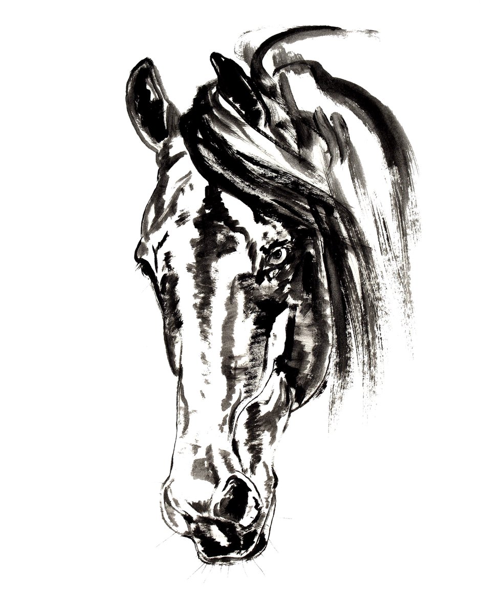 “Gestural 325” 17 x 14 inch ink on paper. Available on my website. #drawing #drawings #horses #equineart #art #equestrian #horseart #pony #sketch #artist #animals #ink equineartiststevemessenger.com