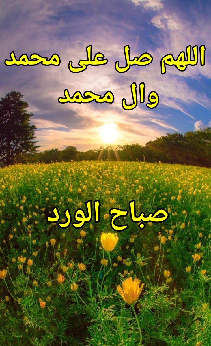 🌼صباح الخير والسعادة 🌼اسأل الله أن يسعد قلبي وقلوبكم 🌼بالخير والمسرات والعافية الدائمة 🌼وأن يبارك في أيامكم وأعماركم.🌹💛 🌼صباحكم سعادة تغمر قلوبكم...💛🌹 #صباح_الخير