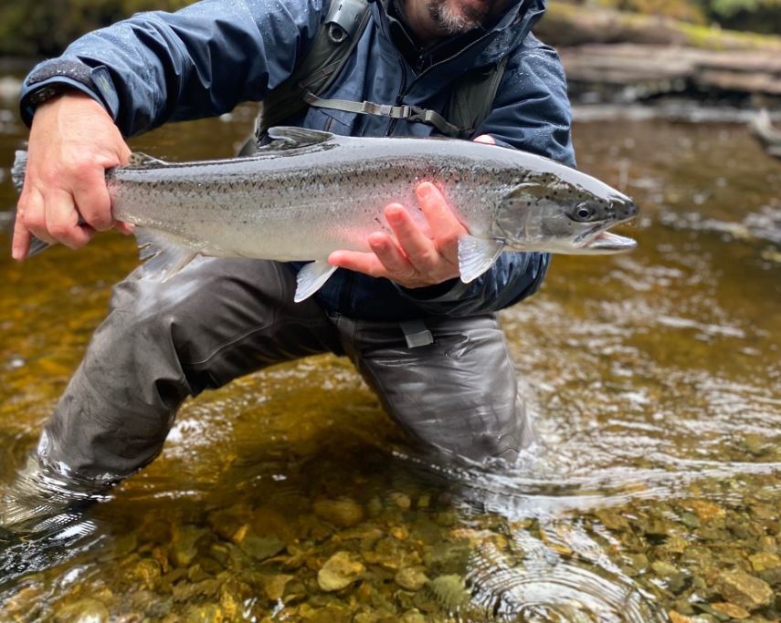 @HuxleySThompson One of my lifelong bros just started guiding at a high speed outfit in Alaska.  He keeps saying to come up...  *sigh*  Photos like this hard to say no...  and I snipped off his grin on purpose.  Flyfishing is like telemark skiing...  something I have not done.  (*Yet*)
