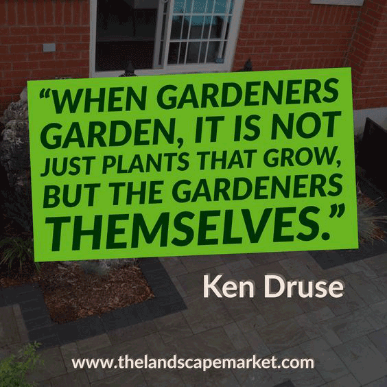 🙏🍃🌿🌱 Gardening