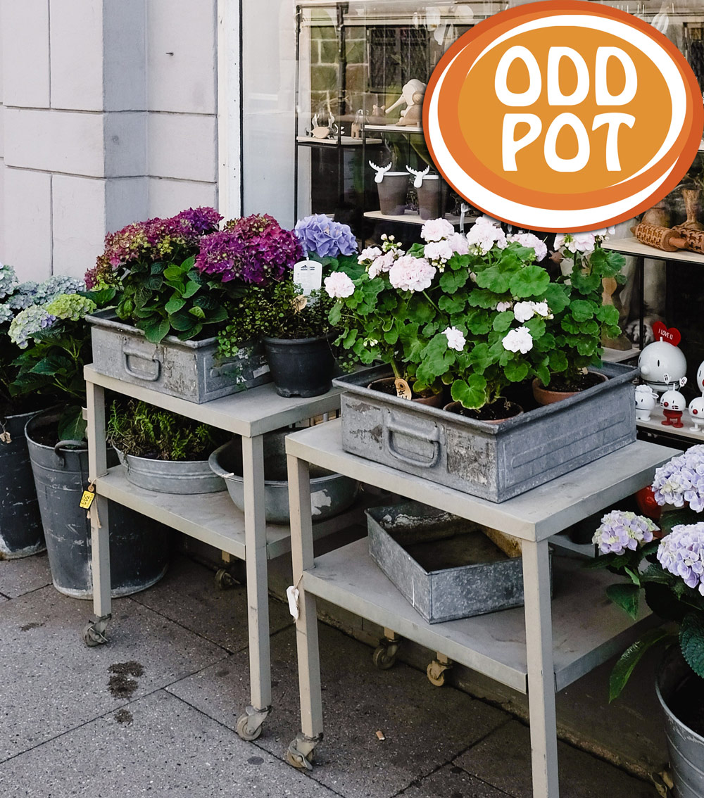 "ODD" pottery 🤪😜🪴
Metal file drawers make a wonderful way to display potted flowers. 🪻🌷🌹 Put them on a porch, patio or indoor dining table.  They are rustic and compliment the colorful flowers.  Reuse, Repurpose, Recycle! ♻️
#ArizonaPottery #OddPottery #Oddflowerpots #Odd