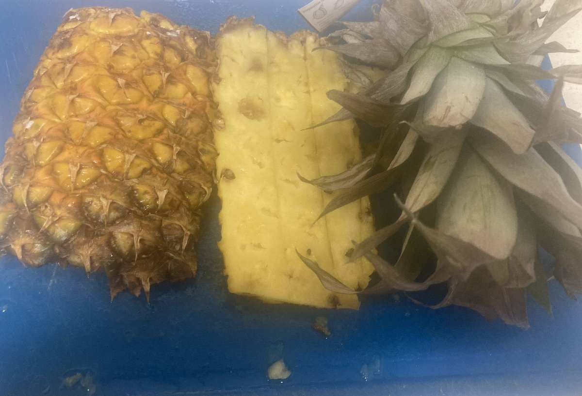 Any ideas of what to do with pineapple skins other than composting?