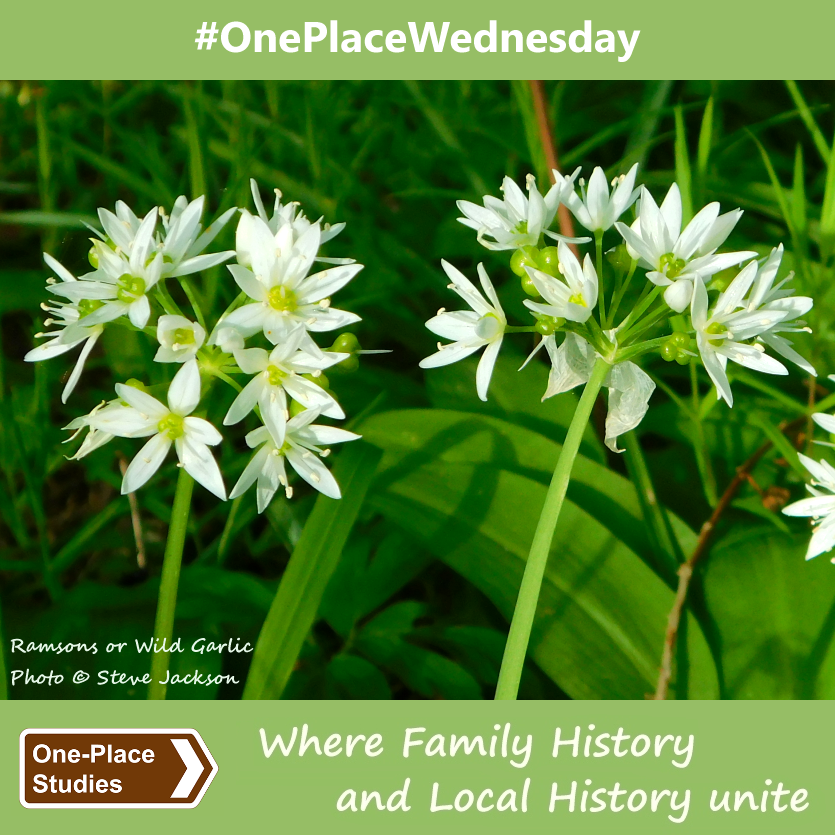 Welcome to May and to #OnePlaceWednesday! Use the hashtag to tell us about your #OnePlaceStudy, to share OPS-related links, news, updates and ideas, to ask questions about #HouseHistories, #StreetStudies or wider #OnePlaceStudies, or to engage in general OPS chatter.