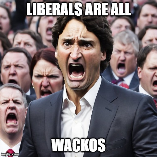 #Wacko 
#WackoTrudeau
#WackoLiberals