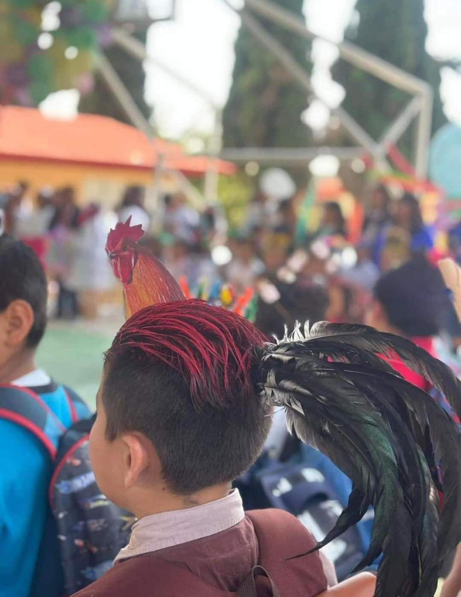 Hoy en el Día del niño, el chavito no reconocido de @CmtePerro Llegó bien gallo a su escuela.