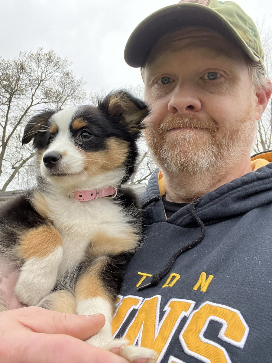 In happier news, world, meet Winnie. Winnie, meet the world. She’s a Toy Aussie and is a fan of the works of @morgfair and @MarkHamill