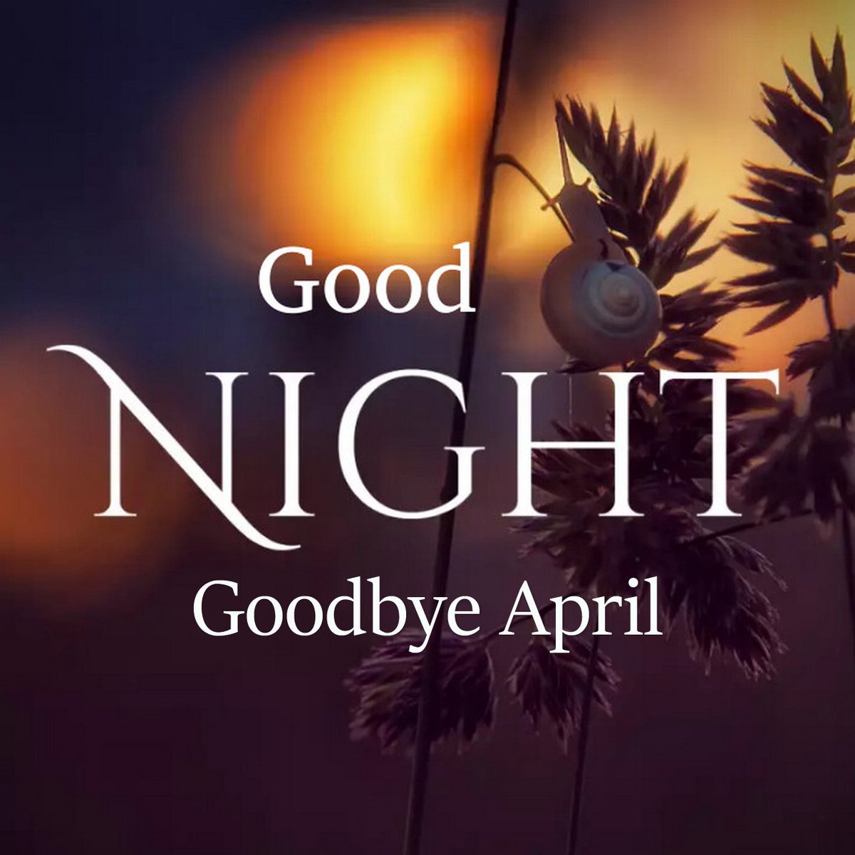 - The month of April ends, a new month begins and the heart full of plans... Gratitude for what ends and faith in what is to come! Sleep well! Sweet dreams! -