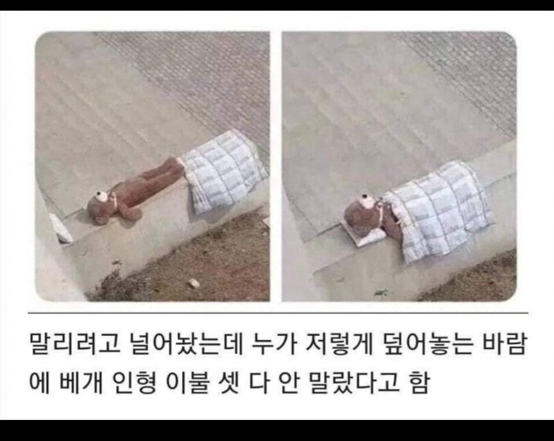 친절이 부른 대참사