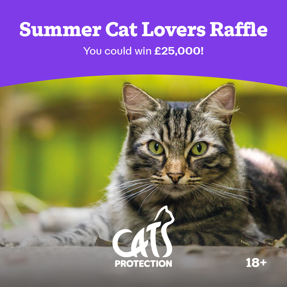 The Summer Cat Lovers Raffle is now open! Enter today to help us make a better life for cats and be in with the chance of winning £25,000! Enter here: spr.ly/SummerRaffle24 😺