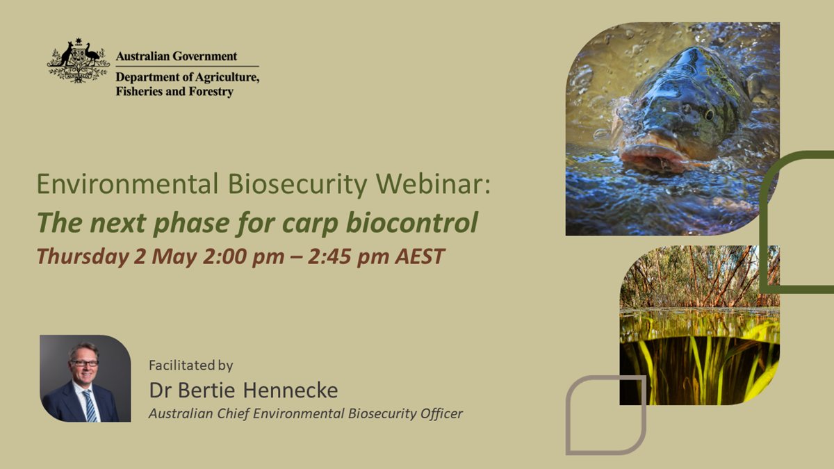 Join Australian Chief Environmental Biosecurity Officer Dr Bertie Hennecke & Dr Toby Piddocke from @FRDCAustralia for an #EnvironmentalBiosecurity webinar, exploring the next phase for #carp biocontrol & the #NationalCarpControlPlan on Thu 2 May. Register: brnw.ch/21wJkV9
