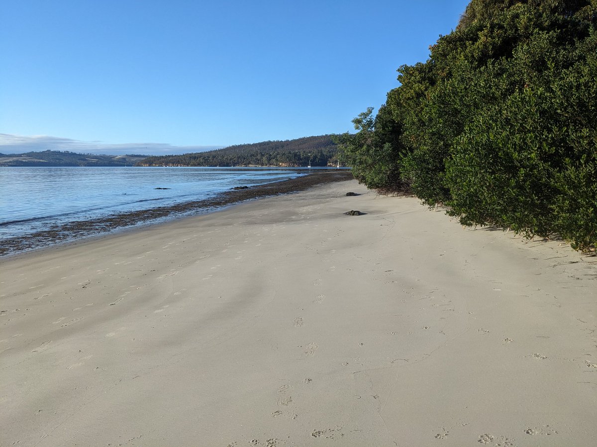 Good morning from Snug, Tasmania. Very low tide and a fair bit of seaweed today, but the sun was warm.