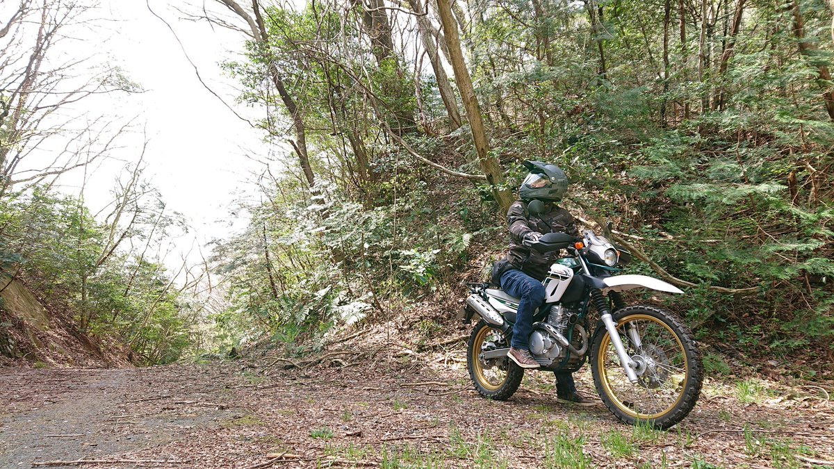 #4月を写真4枚で振り返る
花を眺めながら春を満喫しました🌸
#セロー
#バイク好きと繋がりたい