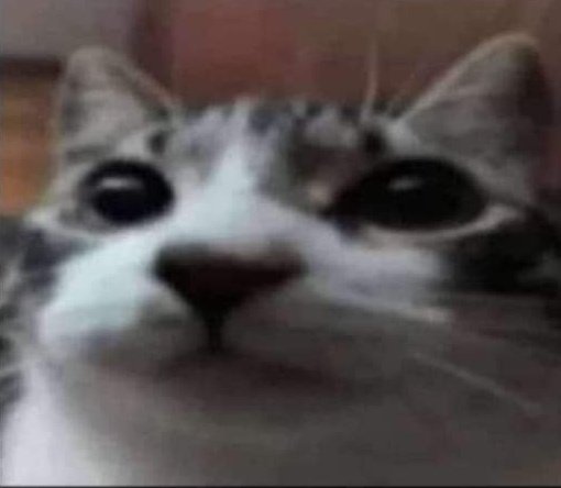 ᅠᅠ𝐄𝐙𝐄𝐊𝐈𝐄𝐋‧₊˚✧ (@c0wp0lice) on Twitter photo 