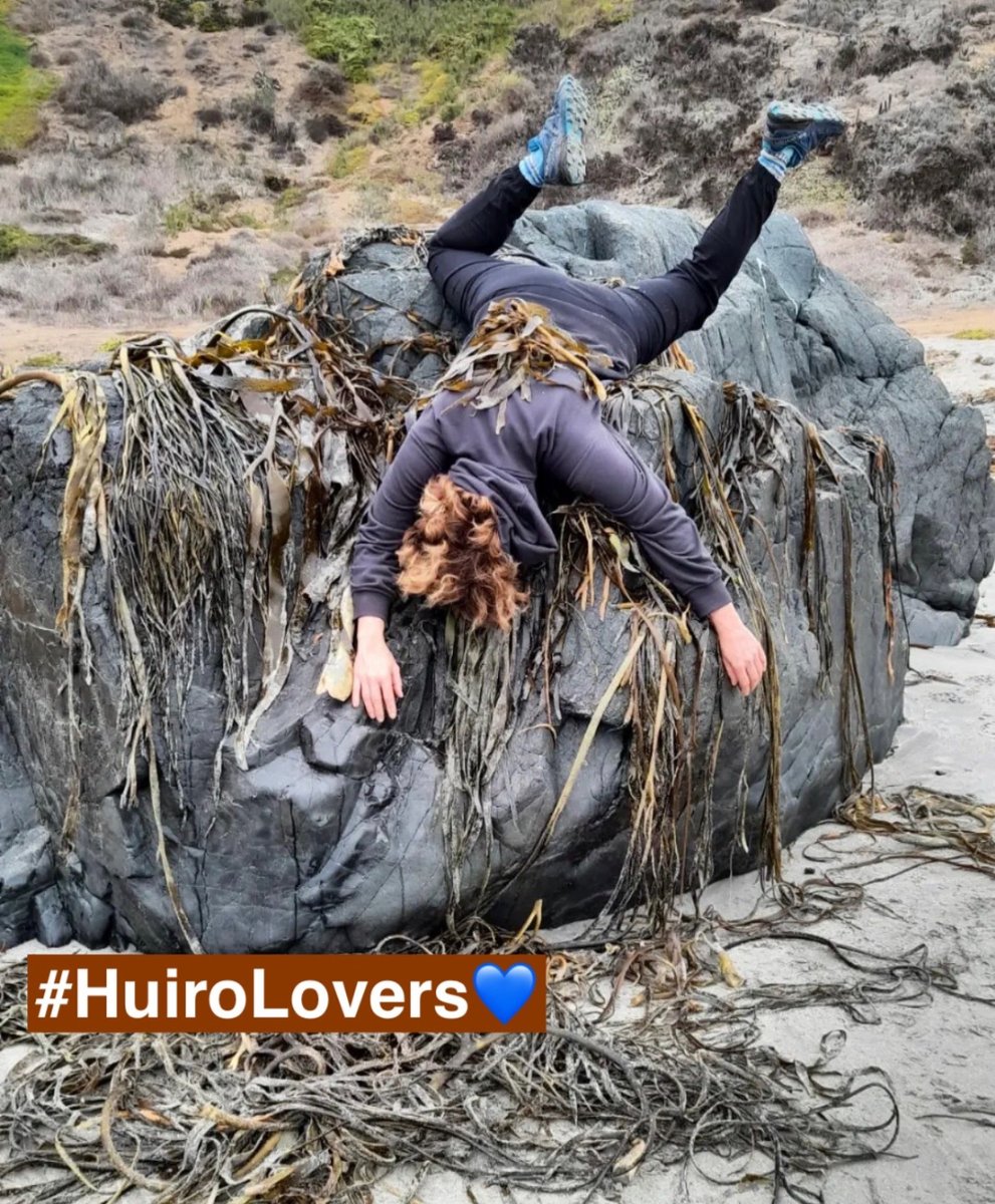 BosquesAzulesCL's tweet photo. cuando gozas con el alma los huirales 😀🫶🏻💙
Se nota je je ja ja 😂
#HuiroLovers
#huiralespatagonicos
#kelpforest #kelp
👉#bosquesazulescl de la #patagonia https://t.co/rzzgJS1L6M