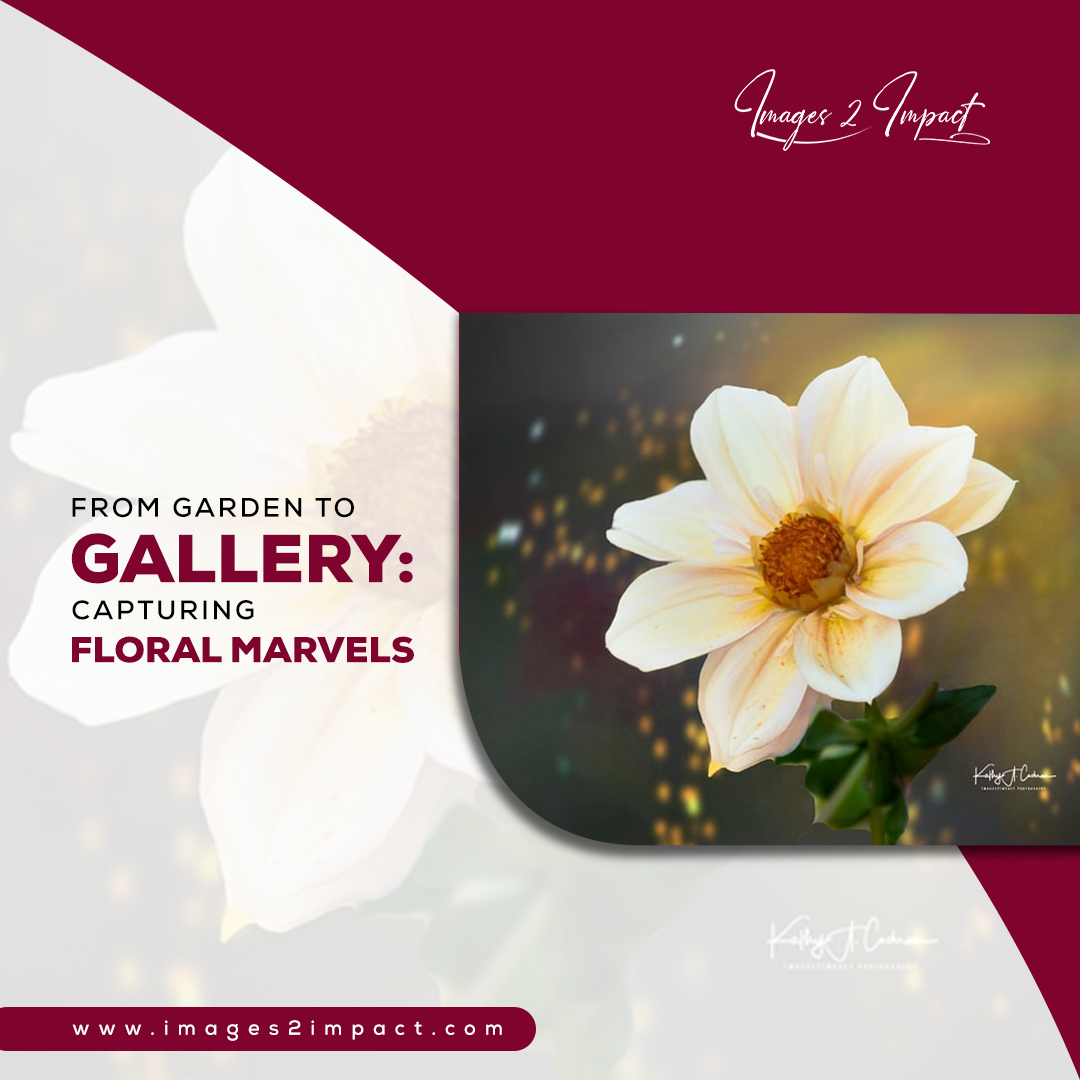 From the vibrant hues of the garden to the refined elegance of the gallery, witness the timeless beauty of floral marvels captured with professional finesse.
Visit Now: images2impact.com
#GardenToGallery #FloralElegance #ProfessionalCapture #TimelessBeauty #FloralArtistry