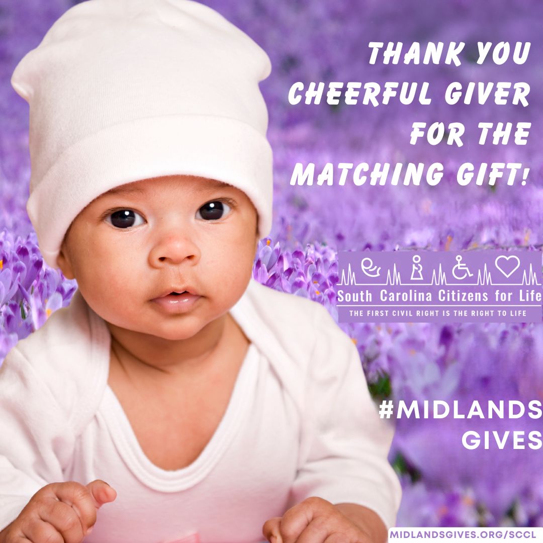 ✨ A huge thank you to the Cheerful Giver for their $2500 matching gift for #MidlandsGives2024 on May 7! Your support helps promote pro-life education in South Carolina! We are grateful for your generosity! 🌟

#Life4SC 
#savethebabiessc
#CheerfulGiver 
#AmplifyYourImpact