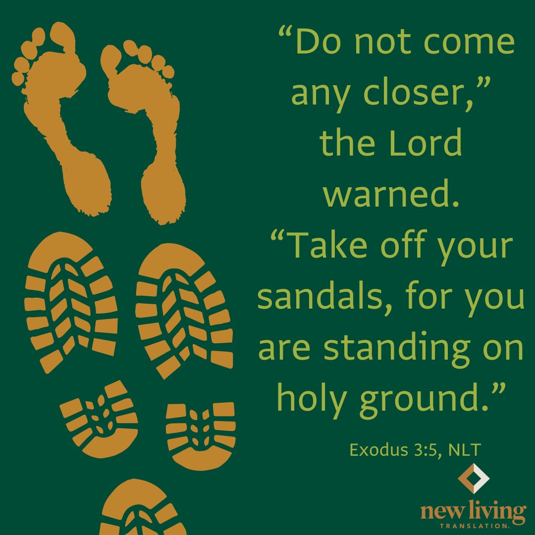 ''Do not come any closer,' the Lord warned. 'Take off your sandals, for you are standing on holy ground.'' Exodus 3:5, NLT

#NewLivingTranslation #NLTBible #ReadTheNLT #Bibleverse #Bibleverses #Biblestory #Biblestories  ⁠