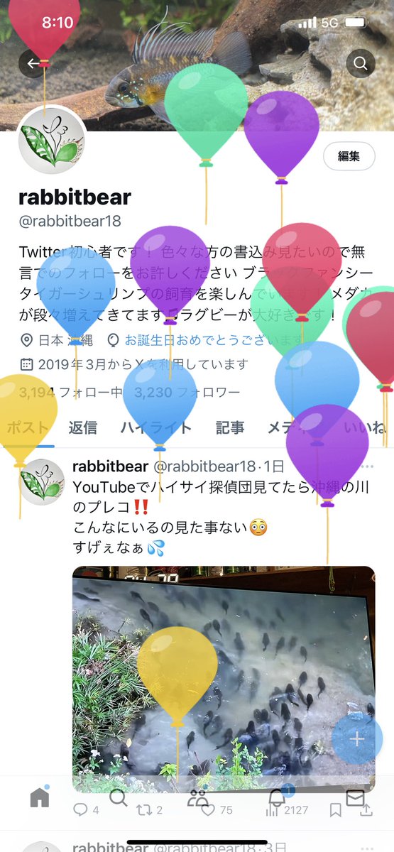 おはようございます😃
誕生日と同時に始まったツムツムのイベントで大敗しショックで誕生日忘れてたら他の方の書き込みで自分も誕生日だと思い出しました🤣
この後いい事あってくれ‼️

楽しい歳にしていきたいのでみなさん宜しくお願い致します🙇