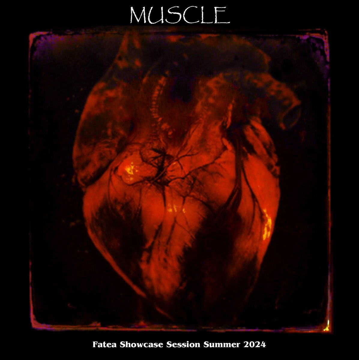 Fatea Showcase Sessions Summer 2024:Muscle Fatea is proud to announce the new Fatea Showcase Session Summer 2024:Muscle is ready to download For all the detail. fatea-records.co.uk/magazine/news/… #download #fatea #newmusic