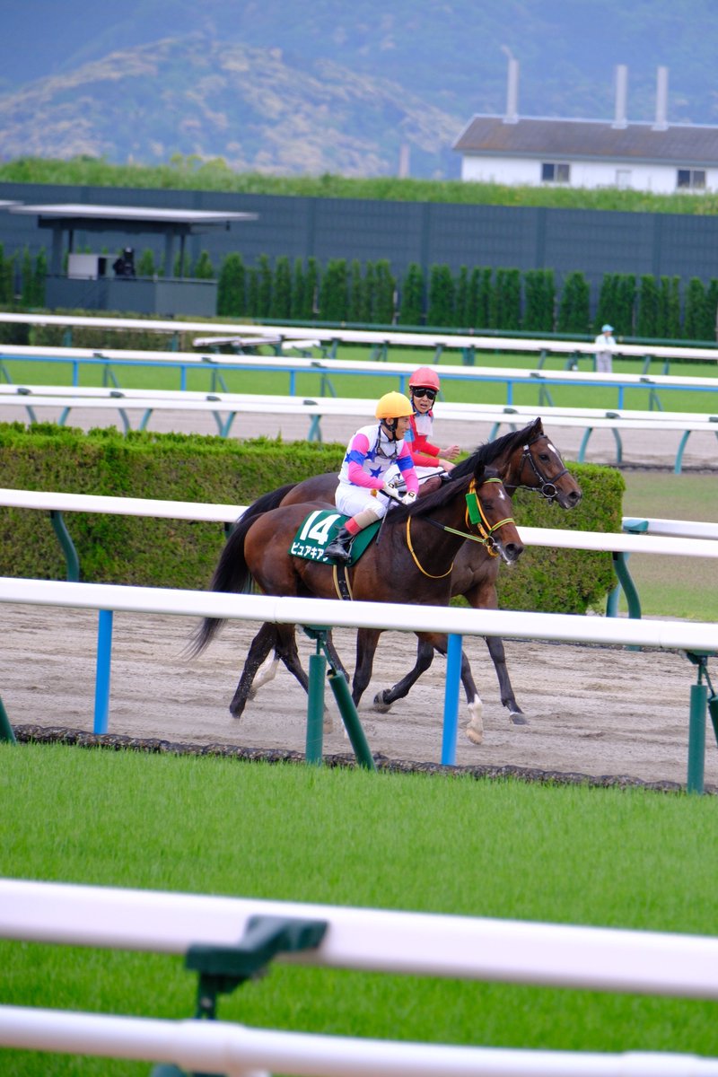 2024.4.27
京都競馬場11R　ユニコーンステークス

ピュアキアン号/吉田豊騎手
ラムジェット号/三浦皇成騎手

何か喋りながら戻ってきた二人。
なにやらジェスチャー付きでお話ししてる。
結構長い時間喋ってました。