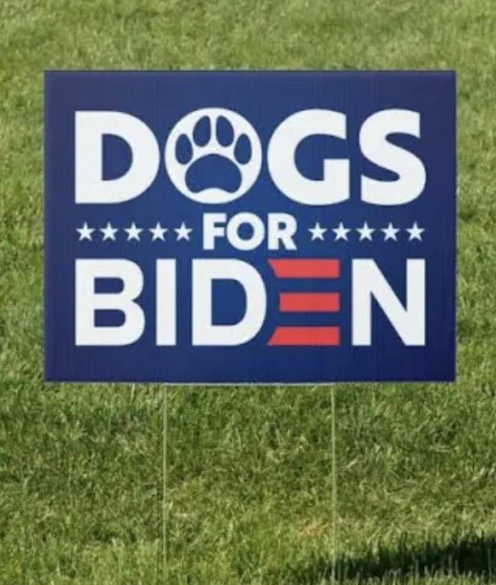 Dcl_60's tweet image. 🐾🐾🐾
