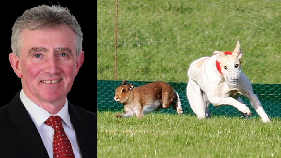 #LE2024 candidates and animal cruelty: Pat Hayes (Fianna Fail #Cork #Mallow) shamefully described cruel hare coursing as 'part of our heritage' and said 'it has to be supported' echolive.ie/corknews/arid-… Please REJECT #LE24 candidates who support animal cruelty