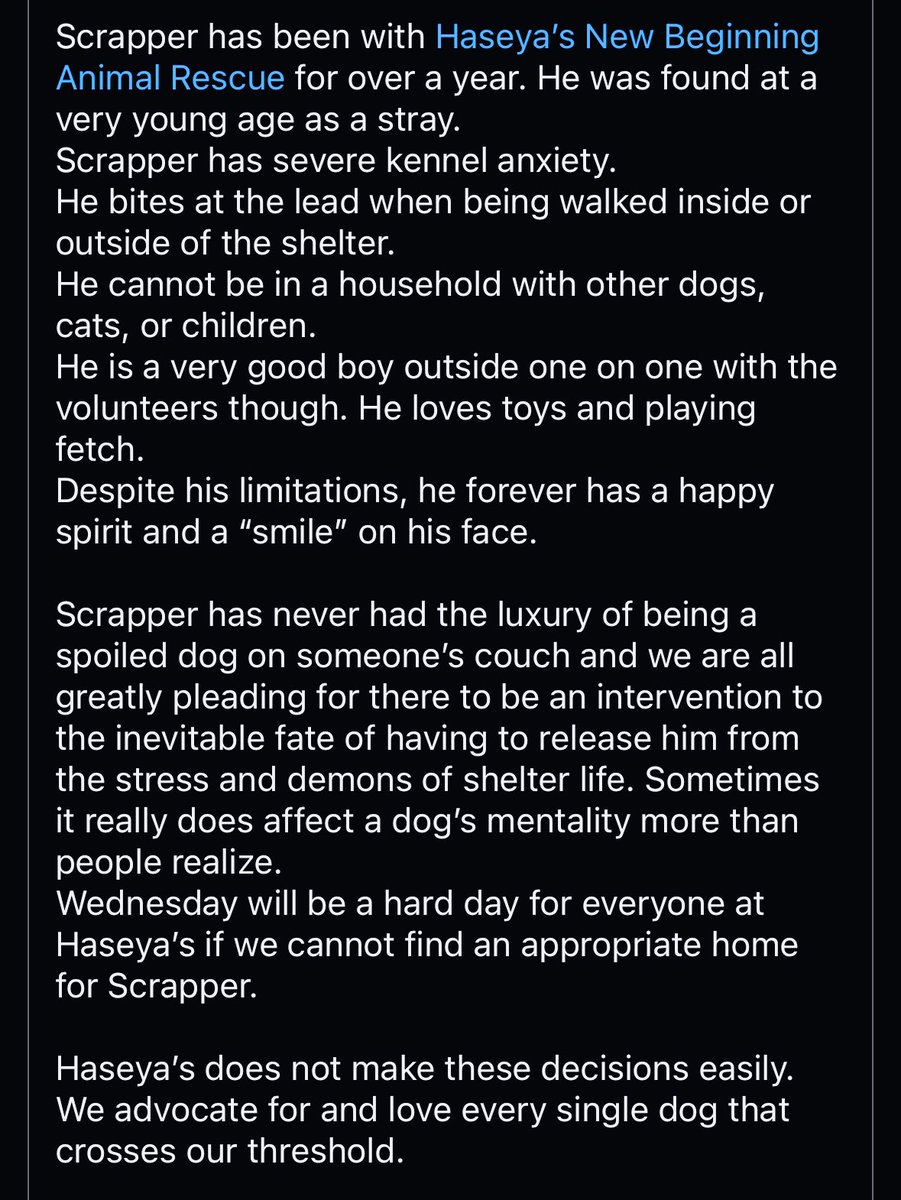 Dubs4Mutts's tweet image. 🆘 Urgent Hero Request 🆘
🐶 Scrapper 💔 Wed 5/1/24‼️
#Louisiana Transport Available 🚙 
High anxiety #StrayDog suffering from severe kennel stress. No tiny humans, dogs or cats. He needs to heal 🙏🏽🏡🛟
📧Haseyasnewbeginninghr@yahoo.com📱 (337) 580-9552
haseyasnewbeginningar.com