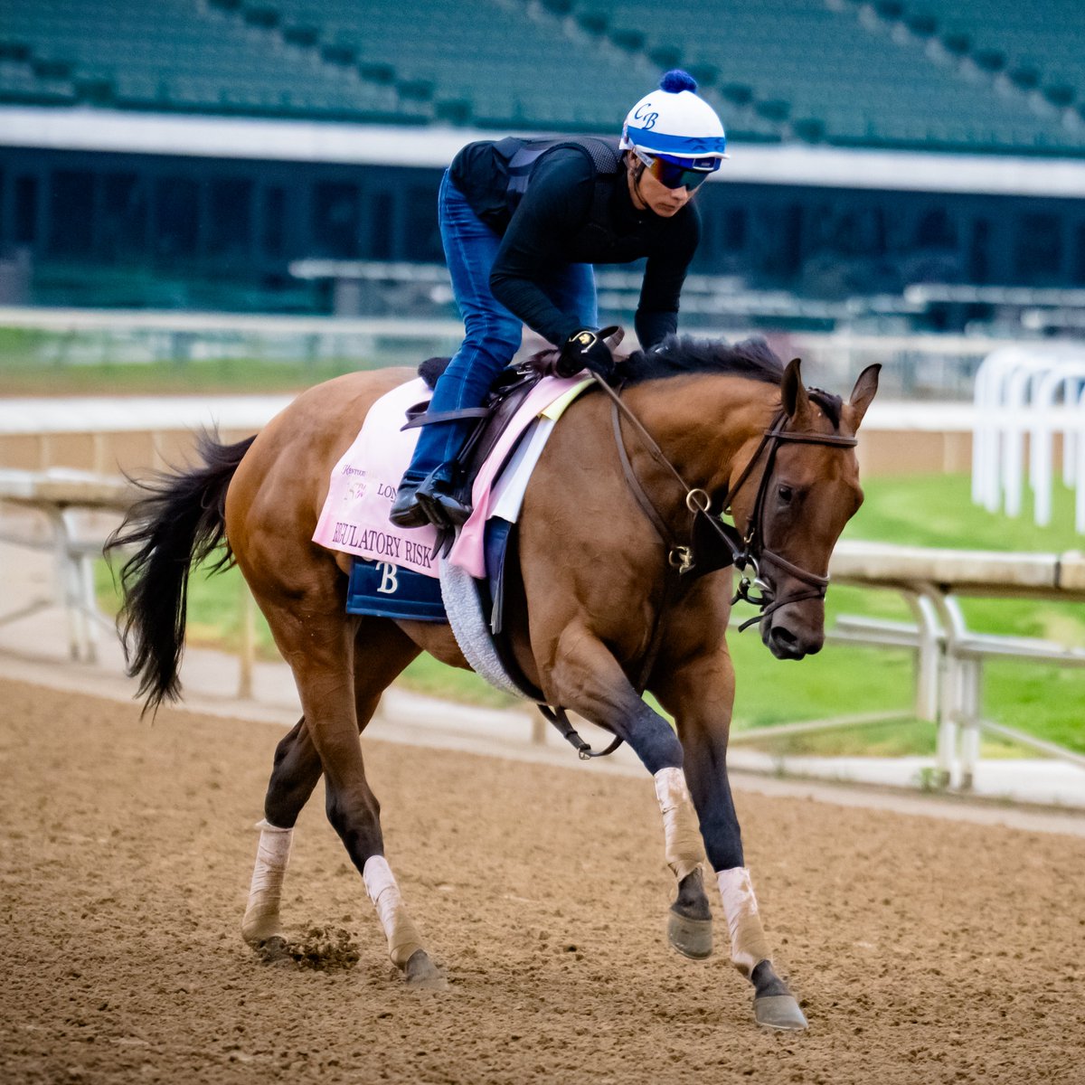 #4 Regulatory Risk Regulatory Risk is one of two fillies in the Kentucky Oaks owned by Klaravich Stables and trained by Chad Brown. Her stablemate Ways and Means will start from post position #11.