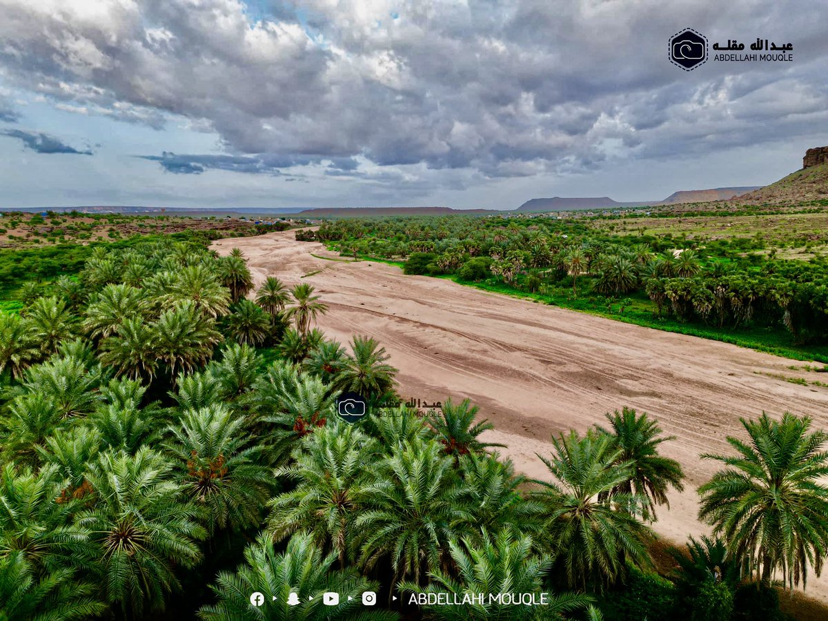 جمال الطبيعة الموريتانية…

La Mauritanie vous attend avec son désert, son océan, ses oasis, sa terre fertile, et son peuple accueillant.
🇲🇷🇲🇷📍📍
