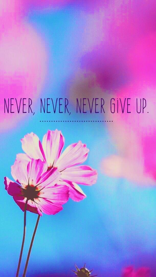 Never. 🌸🤍