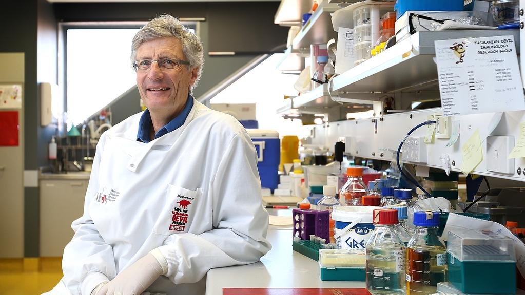 In 2006, Professor Greg Woods began been working on Devil Facial Tumour Disease (DFTD) at @MenziesResearch. What began as a 'side of the desk' project has grown into a significant team dedicated to a common goal: creating a vaccine for DFTD. Read more: utas.au/eS