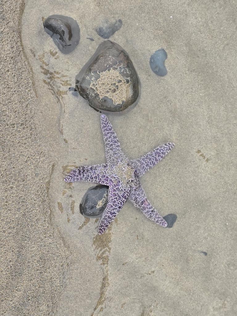 Oregon coast trip