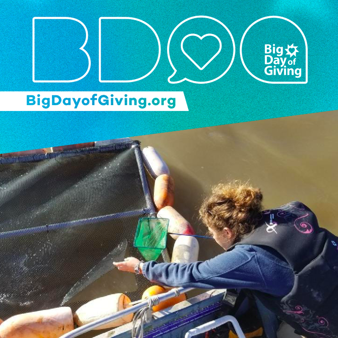 CalWaterbirds tweet media