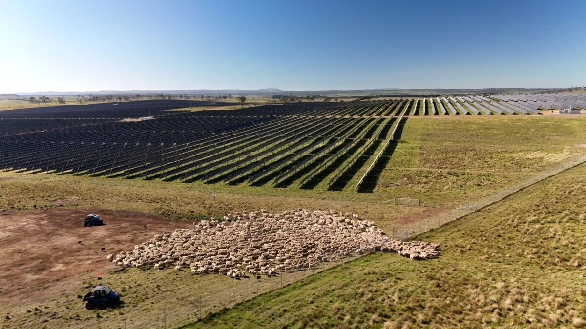 No threat to farm land: just 1,200 square kilometres can fulfil Australia’s solar and wind energy needs: As Australia’s rapid renewable energy rollout continues, so too does debate over land use. Nationals Leader David… dlvr.it/T6FFrJ #renewables #australia #technology