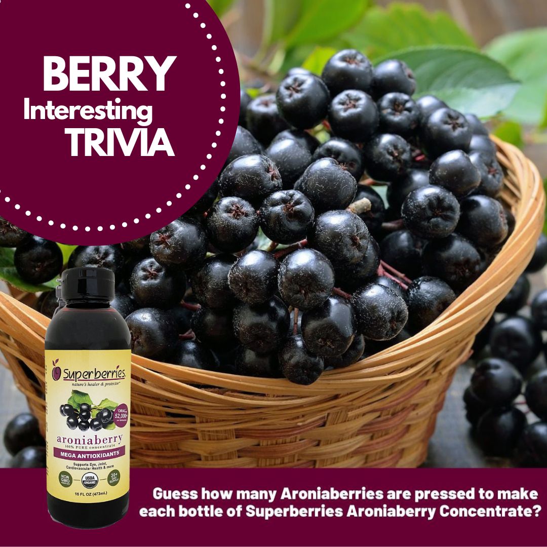It's #TriviaTuesday. How many Aroniaberries are pressed to make each bottle of #Superberries Aroniaberry Concentrate. There are 104 berries in every tablespoon of Aronia Juice & each bottle of juice has 7 lbs of pressed berries. Some super berry power. superberries.com