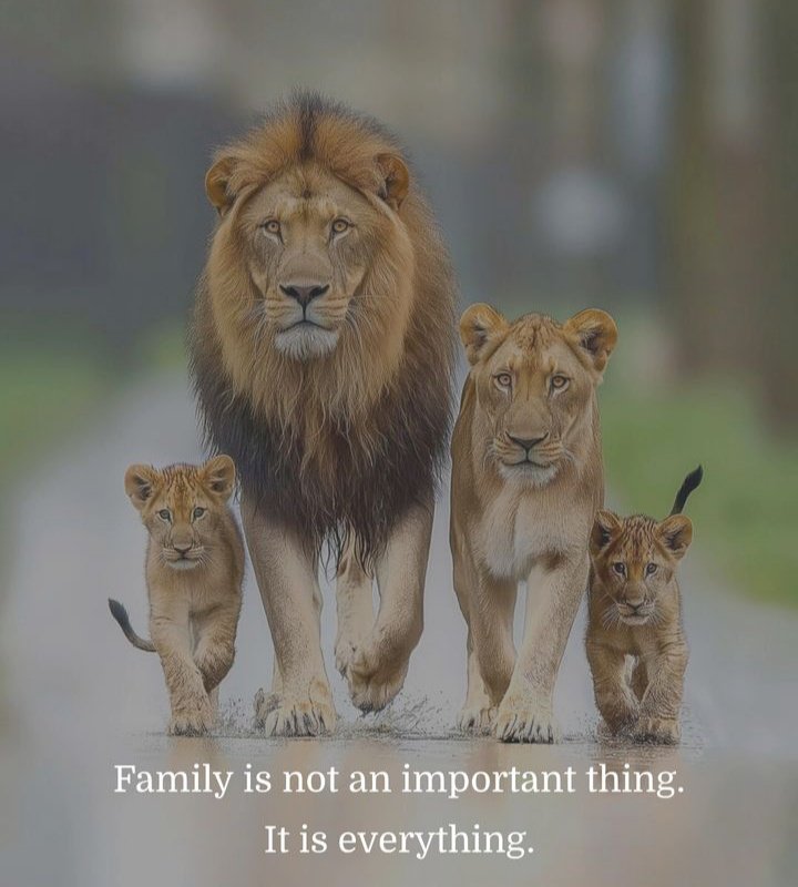 Family ❤