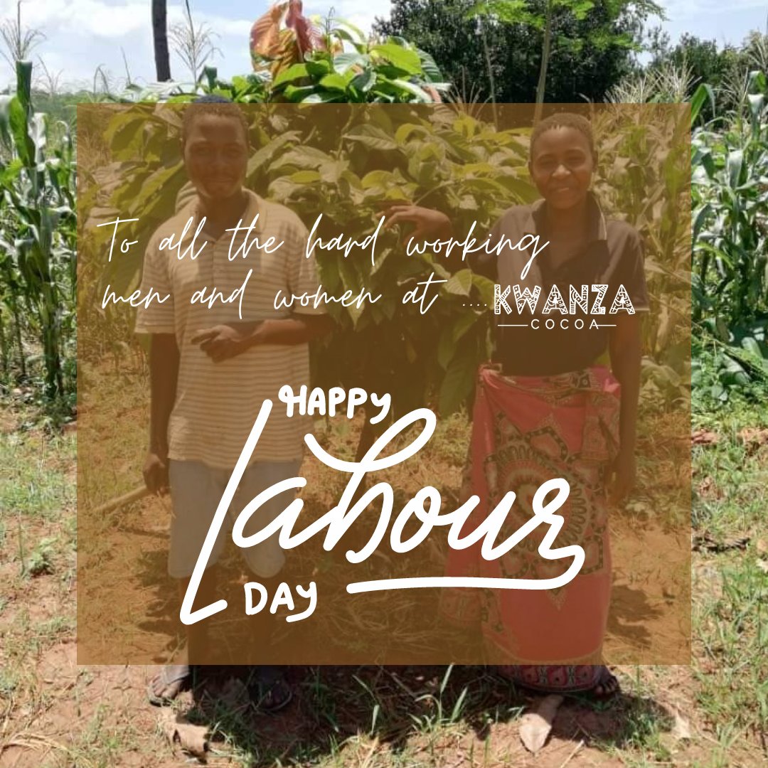 Happy Labour Day from all the hard working men and women at Kwanza Cocoa 💯🇲🇼🌳🍫