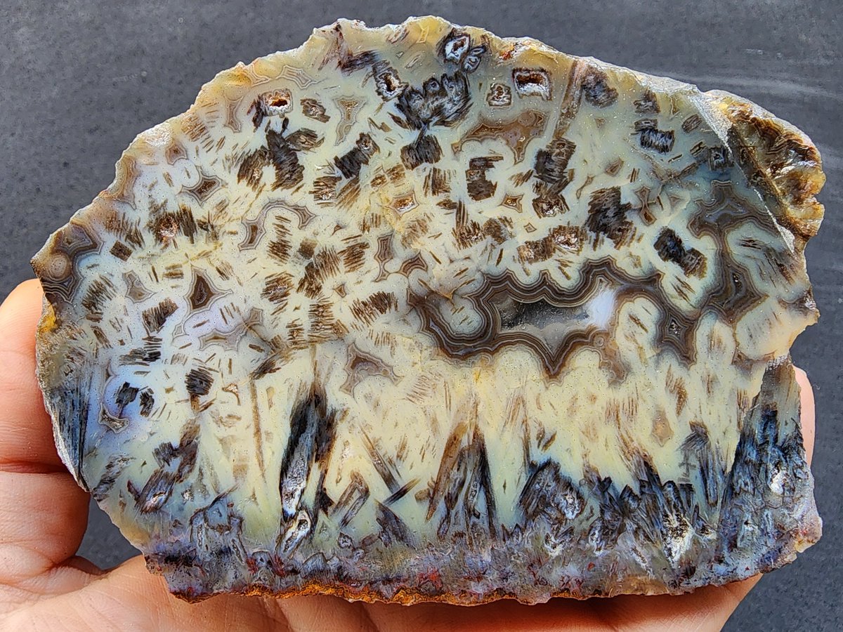Sagenite & Stick Agate
#rockhounds #sageniteagate #agate #agata #agatecollector #Collectibles #crystals #geologyporn #gemstone #lapidary #art #interiordecor #roughagate #geologyrock #pattern #NaturalBeauty #NatureLover #NaturalBeauty #naturalist #EtsySellers