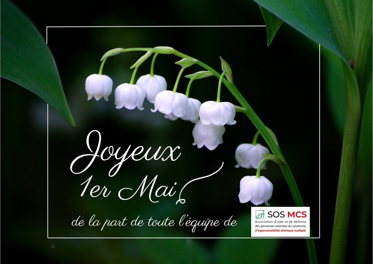 SOS MCS vous souhaite une joyeuse fête du 1er mai. Bonheur et muguet à tous ! #fetedutravail #premiermai #muguet #1erMai