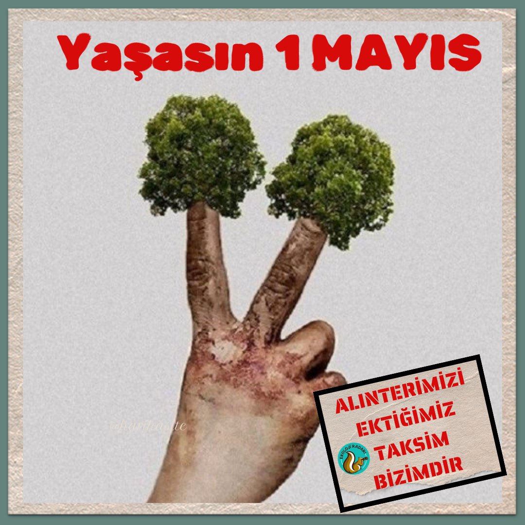 Haydi Taksim'e! #Yasasın1Mayıs