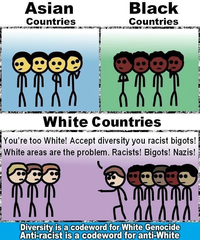 Chasing down Whites with “diversity” has been going on longer than this current panic about birth rates. 

“Diversity” is a code word for White Genocide.