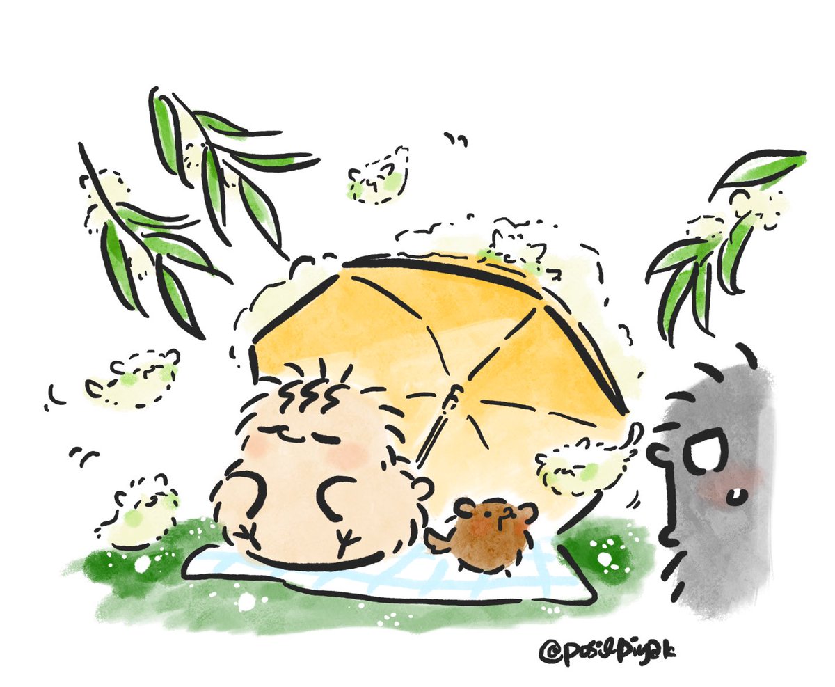 240501
뽀실한 버들강아지의 계절