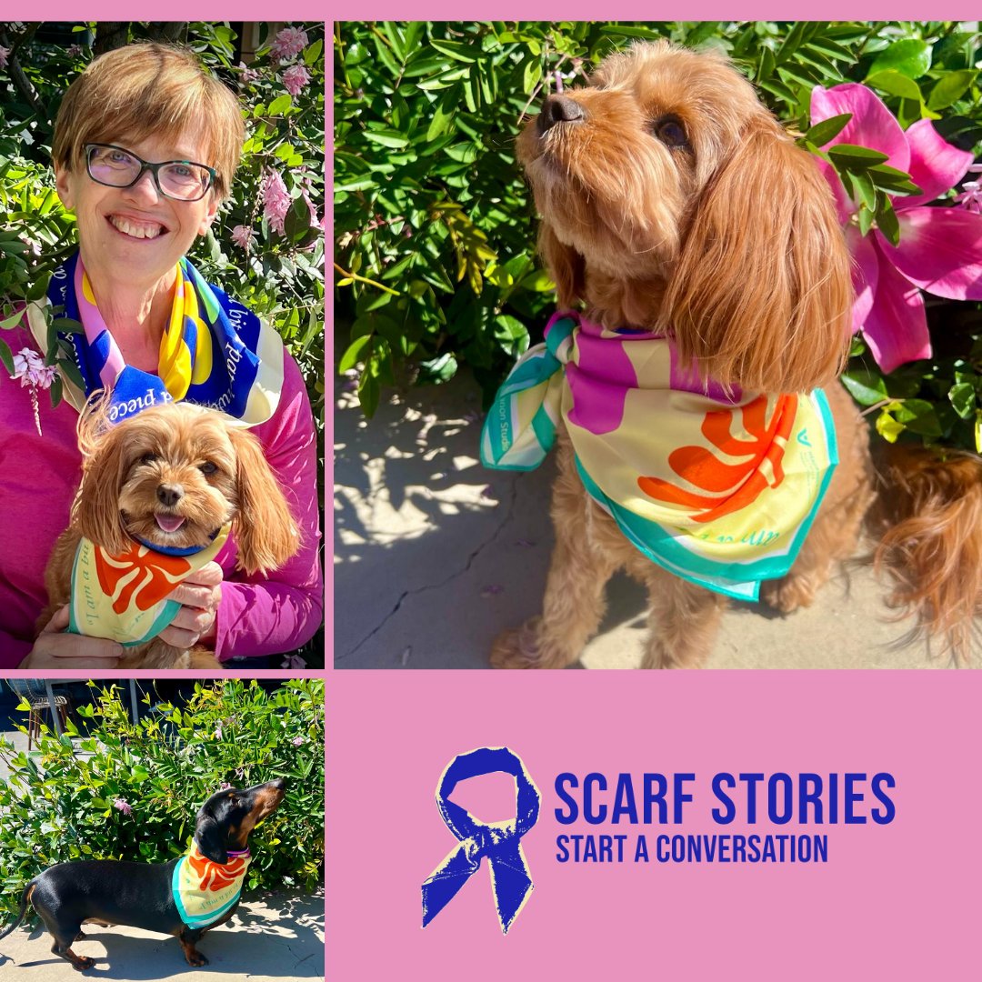 Welcome to May! ‘May’ we present our first community pic. Meet Carolyn, Luna and their friend Wally from Canberra. Check out Scarf Stories if you haven't already: …y-scarf-tells-a-story.raiselysite.com #thankyou #HNC #HPV #TongueCancer #EveryScarf #StartaConversation #silkscarf #fundraiser